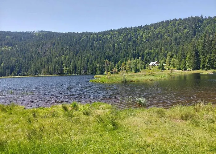 Eichhorn 3*