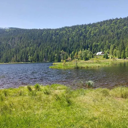 Eichhorn 3*