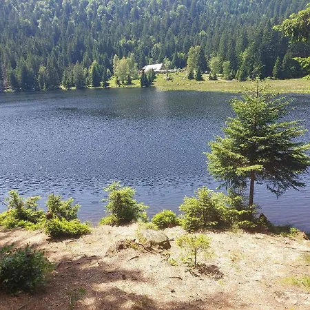 Eichhorn Bayerisch Eisenstein