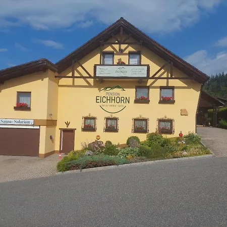 Eichhorn Pensjonat 3*