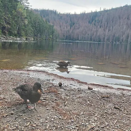 Pensjonat Eichhorn 3*