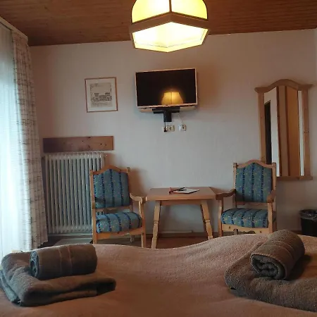 Eichhorn Guest house 2*