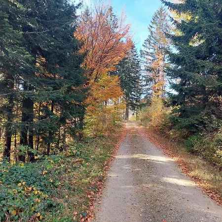 Eichhorn 3* Bayerisch Eisenstein