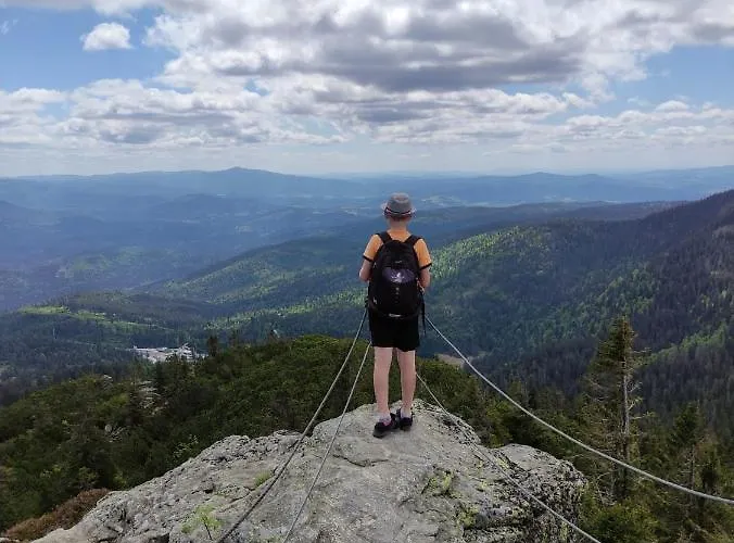 بيت ضيافة Eichhorn بايريش أيزنشتاين