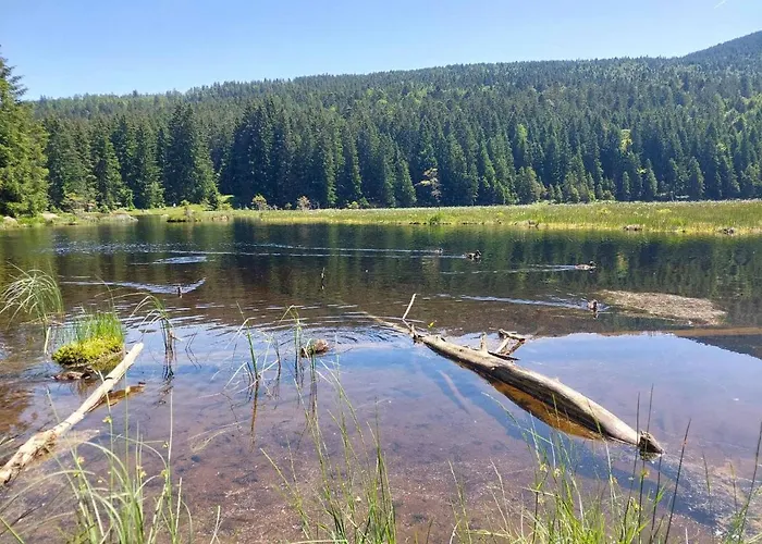 بيت ضيافة Eichhorn 3*