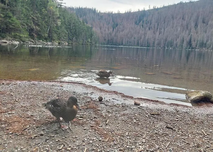 بيت ضيافة Eichhorn 3*