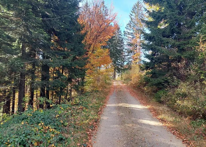 Eichhorn 3* بايريش أيزنشتاين